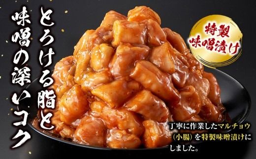 牛マルチョウ 味噌漬け 900g ( 300g × 3 ) とろける脂 小分け 使いやすい 味付き 調理便利 野菜炒め ホルモン炒め 訳あり 不揃い 小腸 冷凍 配送時期が選べる 個包装 冷凍保存 アウトドア キャンプ おすすめ 人気
