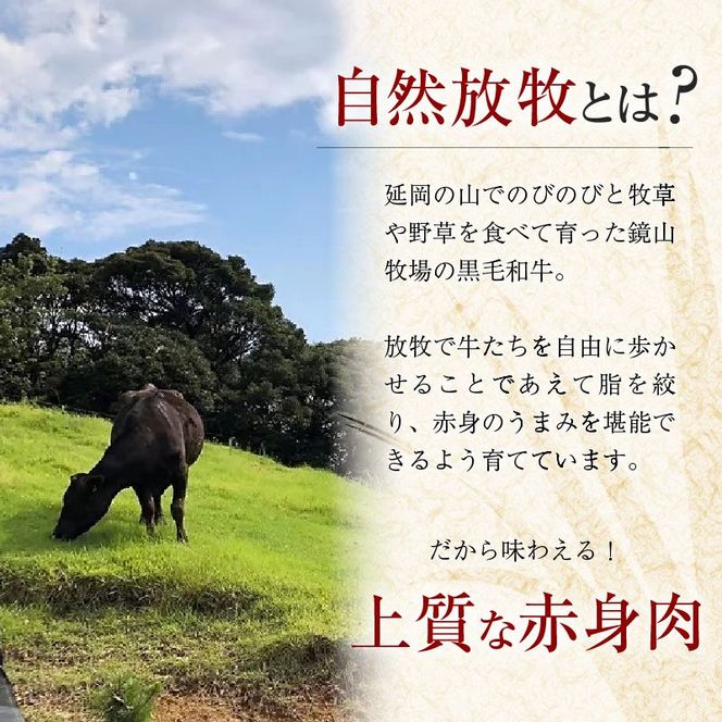 八崎牛の熟成ローススライス約250g×2 N0105-YC906