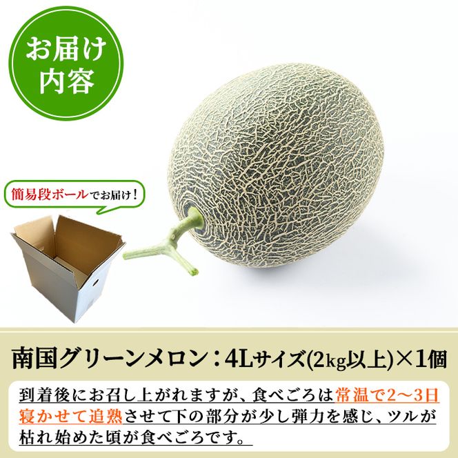 ＜先行予約受付中！2027年6月中旬以降順次発送予定＞ 数量限定！鹿児島県産南国グリーンメロン(4Lサイズ×1個) メロン フルーツ デザート 果物 鹿児島 国産 阿久根市産 青肉 ハウス ハウス栽培 期間限定 【東新グリーンファーム合同会社】akn062-14