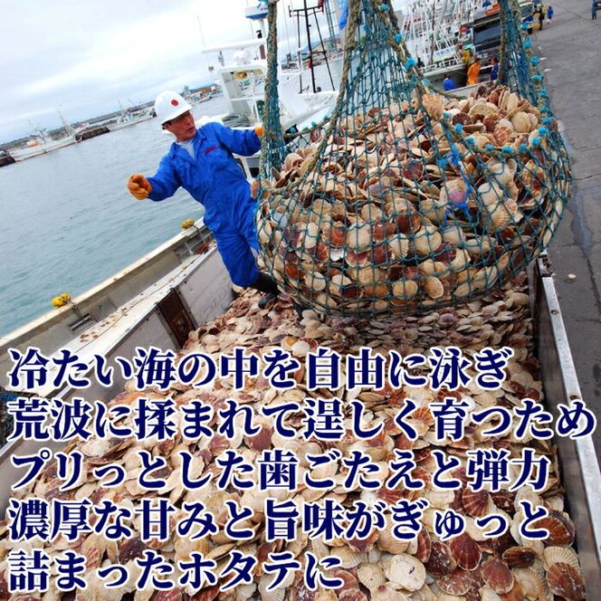 120-36 【定期便６か月】北海道オホーツク海産ホタテ玉冷バラエティサイズ(1kg)×６回｜ 訳あり サイズ不揃い