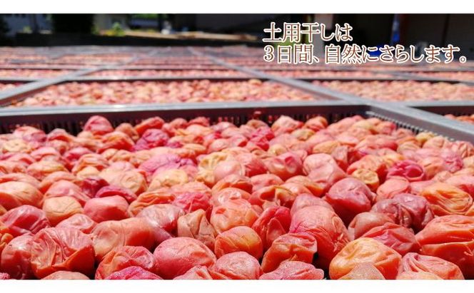 昔ながらの梅干し 一級品（福井県若狭町）伝統製法にこだわり仕上げた無添加・無着色の梅干し／ケース入り400g ご飯のお供 肉厚 種が小さい 紅映 天然塩 鮮やか 芳醇な香り コク 紫蘇漬け 二度漬け すっぱい 