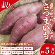 農産物直売所「やさいの声」★訳あり★さつまいも(品種おまかせ) 約5kg｜さつまいも 芋 サツマイモ 訳あり わけあり ワケアリ おまかせ 5kg 紅はるか シルクスイート すずほっくり くりかぐや あいこまち(EK-14)