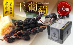 【ギフトボックス】余市産完全無添加干し葡萄DIONYSOS 6箱セット_ Y050-0029
