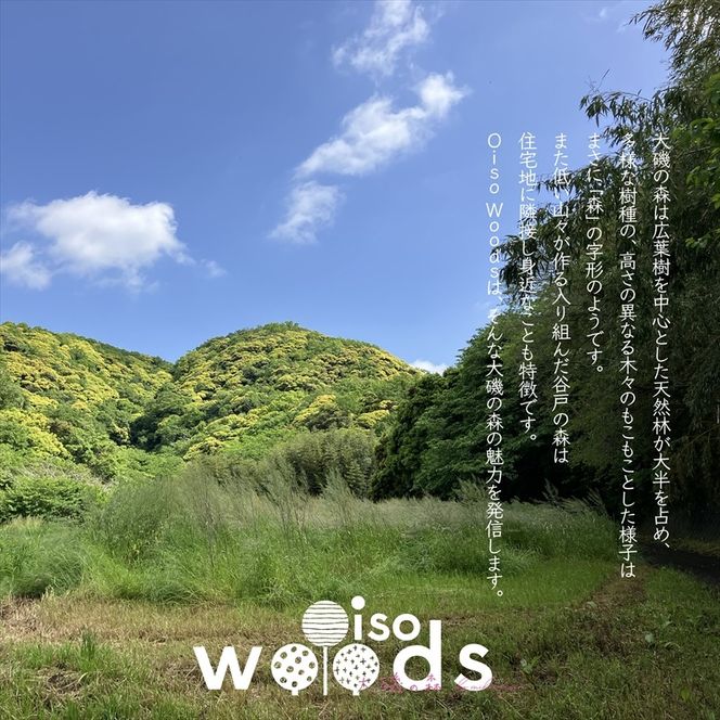 159-2058-01　大磯の森ロゴTシャツ Sサイズ（ナチュラル×ブルーグリーン）・大磯の森染め手拭い セット　 大磯の森ステッカーつき【 Tシャツ 神奈川県 大磯町 】