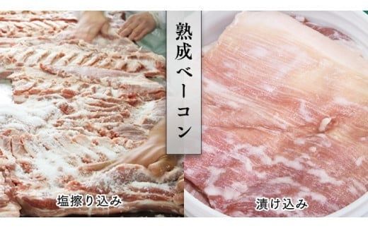 ～ 匠のハム工房 ～ 【 燻製の杜 風實 】筑西ハム ＆ 肉巻き ごはん 豪華 セット キングポーク ミルキークイーンセット 豚肉 燻製 米 冷蔵 贈答 ギフト BBQ バーベキュー パーティー ハム ベーコン ソーセージ ウインナー チャーシュー 銘柄豚 豚 ポーク かざみ （ 熨斗付き 対応可 プルダウンからお選びください ） [AJ002ci]