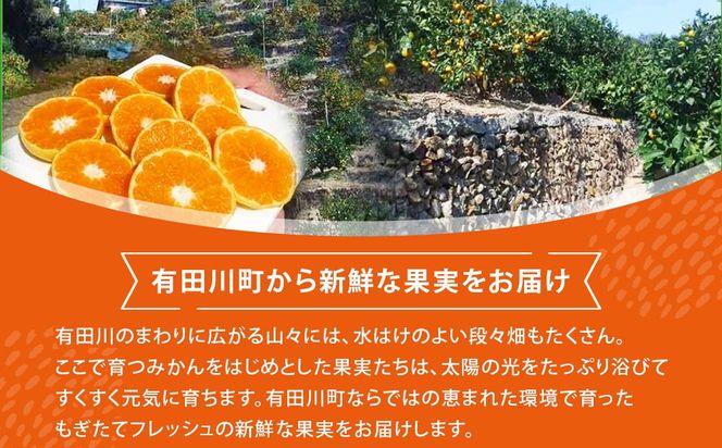 不知火(しらぬい) オレンジ みかん 訳あり 2kg サイズ混合 CE061