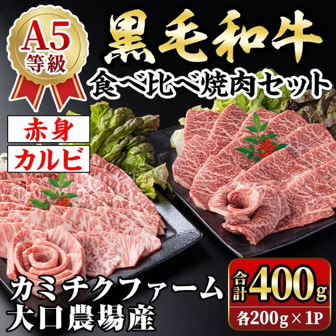 isa688 鹿児島県(カミチクファーム 大口農場)産 黒毛和牛食べ比べ焼肉セット(合計400g・赤身・カルビ各200g×1パック) 黒毛和牛 焼肉 食べ比べ セット 和牛 A5 ランク 雌牛 霜降り 赤身 肩 カルビ モモ バラ 牛肉 アウトドア 小分け 冷凍 【お肉の直売所 伊佐店】