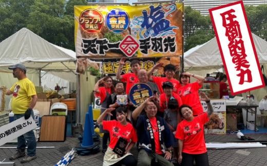 【手羽先サミット殿堂入り！】極旨塩 手羽先 唐揚げ 24本（国産 鶏肉 手羽 手羽先 唐揚げ 塩 味付き 限定 冷凍）