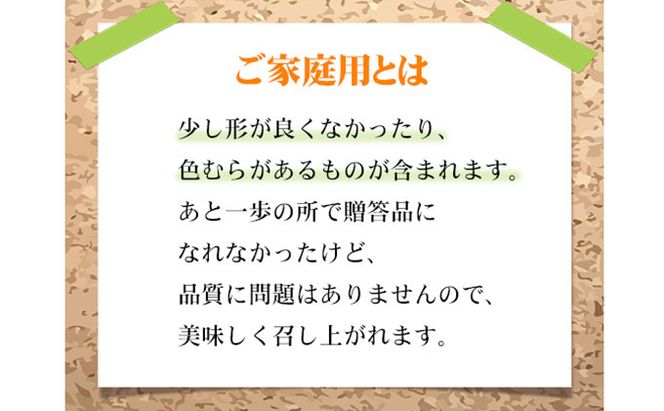 ぶどう 2026年 先行予約 ご家庭用 ニュー ピオーネ 3～6房 約2kg ブドウ 葡萄  岡山県産 国産 フルーツ 果物 岡山のぶどう 旬のフルーツ 旬の果物 大粒 種無し 