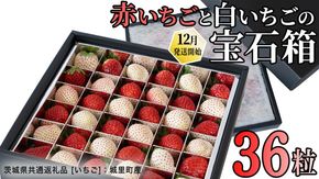 赤白いちごの宝石箱アソート 36粒 【2025年12月から発送開始】（茨城県共通返礼品 [いちご]：城里町産）  | いちご 苺 赤 イチゴ 白いちご 白イチゴ 宝石箱