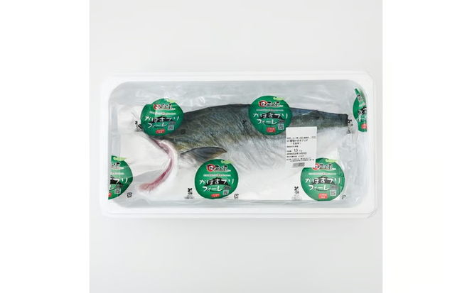 ＜先行予約受付中！2027年3月以降順次発送予定＞かぼす ブリ フィレ (1.2kg) ぶり 鰤 刺身 国産 魚 海産物 海鮮丼 ぶりしゃぶ 冷蔵 【JP005-03】【三共物商】