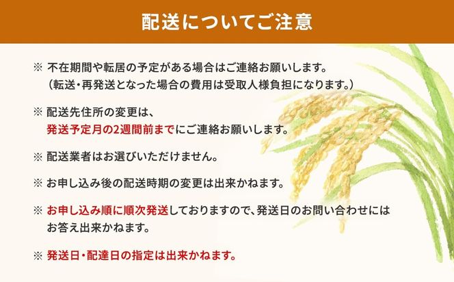 K2464【令和6年産】※ランダム※ ＜2025年01月内発送＞  お米 5kg  茨城県産 白米