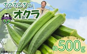 オクラ 500g おくら 野菜 生オクラ やさい さのさんち JGAP認証農場 国産 調理 旬 夏 肉巻き 天ぷら 静岡県 藤枝市