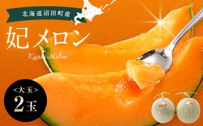 【先行予約】令和8年産 妃メロン 赤肉 大玉 2玉（令和8年7月下旬～8月中旬発送予定） 北海道 n-0189