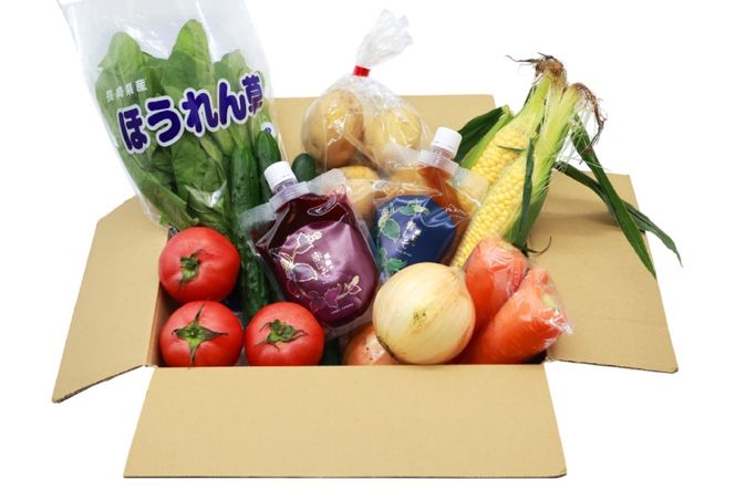 AJ313 野菜セット 5〜7品目 しそジュース付き [ 野菜 詰め合わせ 少人数用 一人暮らし 二人暮らし シソジュース 紫蘇ジュース 長崎県 島原市 ]