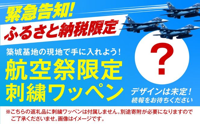 2026年11月29日(日)　航空自衛隊 築城基地航空祭　駐車場チケット（築城保育所駐車場）[ABZZ006]
