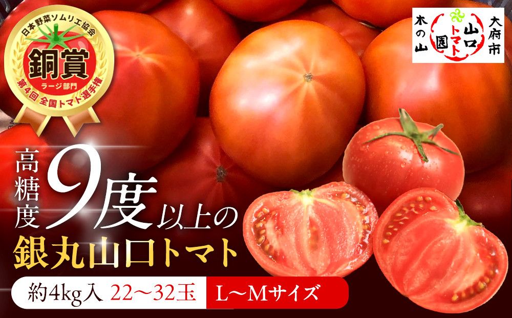 [先行予約 2026年2月〜5月出荷予定/限定50箱]全国トマト選手権銅賞受賞トマト『銀丸山口トマト』高糖度トマト L~Mサイズ 232238_BA05