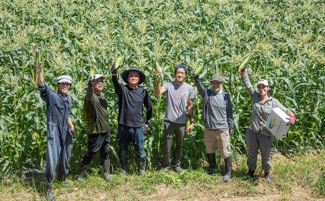 ［2026年先行予約］牛窓産とうもろこし まるでフルーツ！生で甘い、茹でて美味い！「桃太郎コーン」と「うしまどんな」のセット 約4kg 8～12本入り 産地直送 食べ比べ 