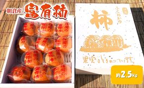 柿 富有柿 約2.5kg かき 果物 フルーツ デザート 配送不可：離島 