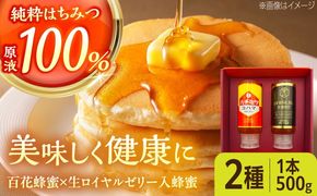 コハマのハチミツ 500g 2本セット 蜂蜜 はちみつ ハチミツ 国産 ギフト 年内発送 沖縄市 / 農業生産法人株式会社小浜養蜂場[BCAQ004] 