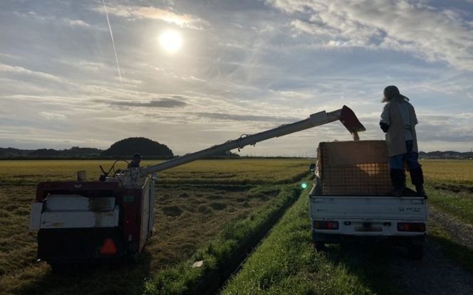 宮城県産 三大銘柄 いいとこ取りブレンド米 わくわく米 5kg / 米 お米 精米 ブレンド米 白米 ご飯 産地直送