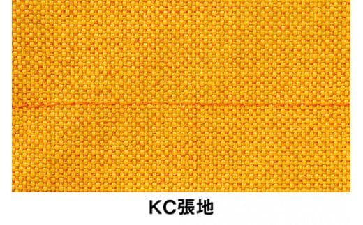 イトーキ『バーテブラ03』5本脚  抵抗付きウレタンキャスター KC張地：ゼスト(KG825KCM1G14CF)【EI133W1】