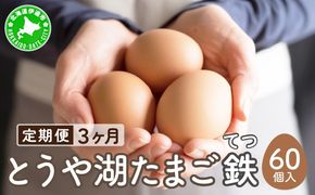 【3ヵ月 定期便】 北海道 伊達市 とうや湖 卵 鉄  60個 入り たまご