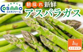 朝採り新鮮アスパラガス 1kg【ミニサイズ】 | 野菜 アスパラガス グリーンアスパラ 旬 とれたて 春野菜 春 朝採り 朝採れ とれたて 新鮮 みずみずしい サラダ 甘い お取り寄せ 産地直送 冷蔵 岐阜県 瑞穂市