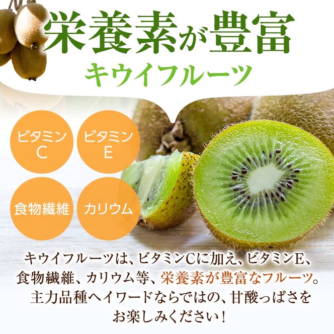 【先行予約】 先行予約！和歌山県産 秀品 キウイフルーツ 大玉15個入 こだわり農家厳選  / キウイ 果物 フルーツ ※2026年12月中旬～2027年1月中旬頃に順次発送予定 ※沖縄・離島への配送不可【kgr021】