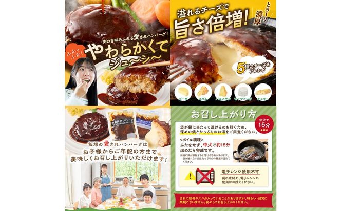 A5-301】かねふく辛子明太子&デミソースのハンバーグ2種セット（福岡県