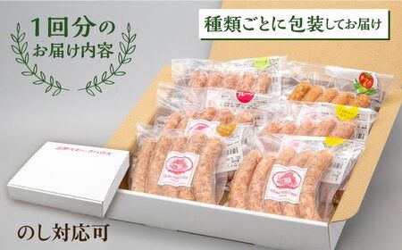 【全12回定期便】生ウインナー 30本 (5本×6種) 糸島市 / 志摩スモークハウス [AOA025] 詰め合わせ ギフト 無着色 ソーセージ お歳暮 お中元 ウィンナー セット