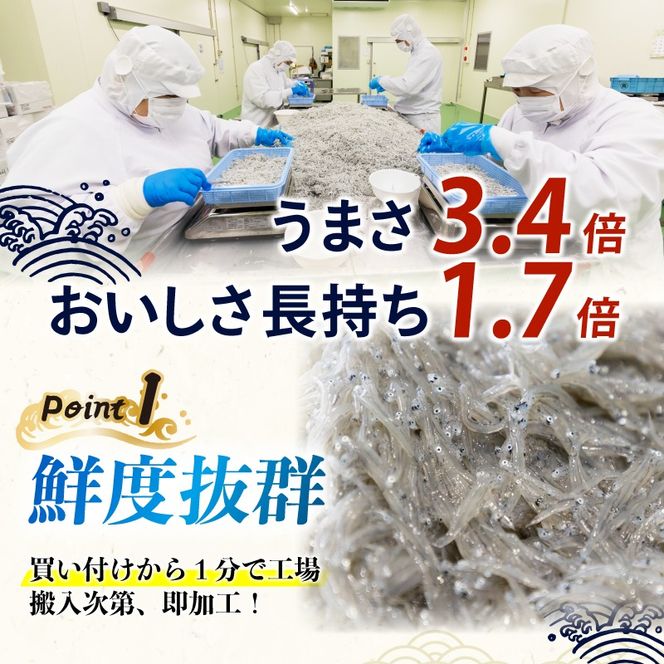 鮮度抜群 釜揚げしらす 240g ~ 480g 小分け しらす 冷凍 大容量 惣菜 便利 弁当 晩ごはん 白州 白子魚介類 魚介類 海鮮 減塩 塩分控えめ わけあり 小魚 魚 鮮魚 個包装 簡単調理 グルメ 人気 海の幸 高知県産 ふりかけ ちりめん しらすご飯 国産 じゃこ しらす丼 人気 選べる 訳あり 特選 子供用 容量 安芸市 高知県