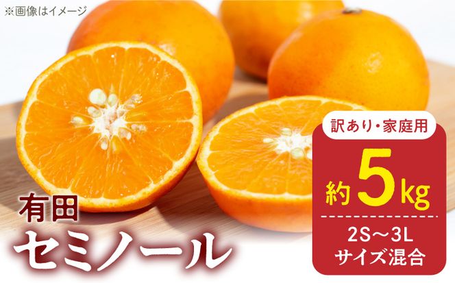 DZ6211_【2027年先行予約】訳あり 家庭用 セミノール  和歌山 有田  2S～3Lサイズ混合 約5kg