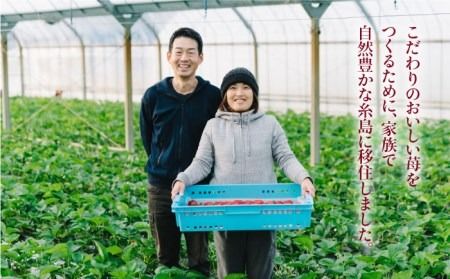 【予約：2025年1月上旬より順次発送】完熟あまおう 270g × 2パック 糸島市 / slowberry strawberry [APJ002] 苺 あまおう イチゴ