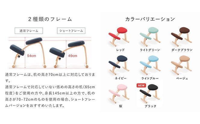 椅子 バランスイージー カバーなし イージーライティングボード L セット 選べる フレーム カラー
