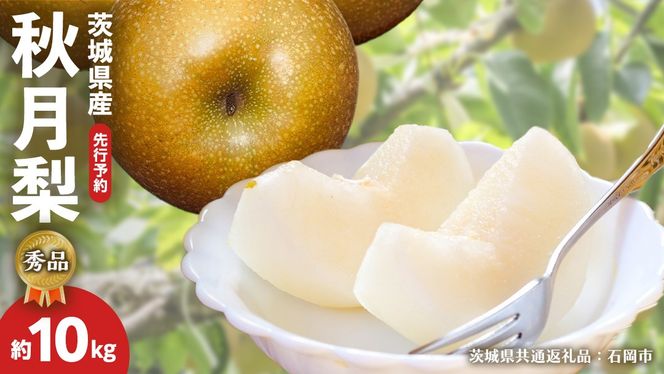  《 先行予約 》 【 秀品 】 茨城県産 梨 秋月 10kg （茨城県共通返礼品：石岡市） フルーツ 果物 なし ナシ 旬 新鮮 旬 期間限定 甘い 国産 【 2025年9月中旬頃より発送開始 】 [CV003us]