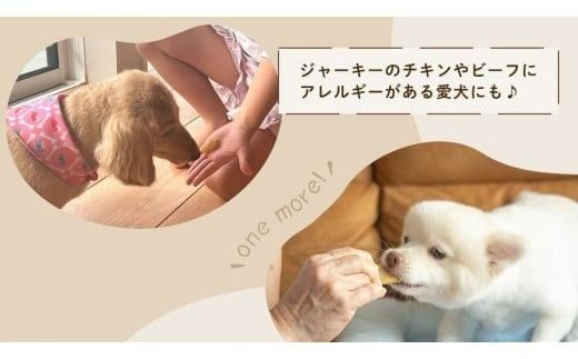 【 先行予約 】【 塚田商店 】 犬用 干し芋 訳あり 100g × 4袋 無選別 ドックフード ペットフード 犬 国産 無添加 さつまいも 芋 おやつ 和菓子 いも イモ 工場直送 マツコの知らない世界 スーパーツカダ [BD033ci]