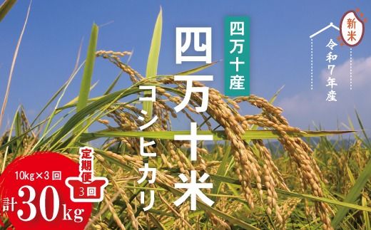令和7年産 3回 定期便 四万十産 四万十米 コシヒカリ 10kg (5kg×2袋)×3回(計30kg) 国産 こしひかり コシヒカリ 30kg 2025年 精米 白米 米 おこめ こめ コメ ご飯 ごはん ふっくら もちもち 四国 高知 四万十 しまんと 25-946