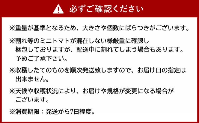 [2026年産][栽培期間中 農薬・化学肥料不使用] 北海道 仁木町産 ミニトマト エコスイート 1.2kg×1箱 サイズ混載 トマト野菜 やさい  [Farm Watanabe]