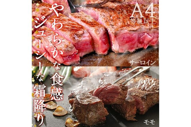 ＜定期便・全6回 (隔月)＞おおいた和牛 低温熟成 ステーキ 定期便 (2ヶ月ごとにお届け) 国産 牛肉 肉 霜降り A4 ミスジ モモ ヒレ サーロイン ランプ リブ 和牛 ブランド牛 冷凍 【DH186】【(株)ネクサ】