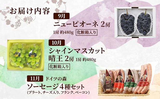 定期便 2027年 先行予約 岡山の人気果物とドイツの森の人気商品 厳選 3回コース ぶどう ニューピオーネ シャインマスカット 晴王 ソーセージ 赤磐市