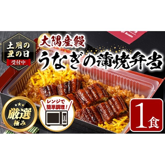 【0065710a】《土用の丑の日受付中！》＜おためし＞大隅産鰻の冷凍弁当(冷凍品)(1食分・計240g タレ、山椒付) 丑の日 うなぎ 高級 ウナギ 鰻 うなぎの蒲焼 蒲焼 国産 ごはん ご飯 お米 おかず 鹿児島 ふるさと レンチン 電子レンジ 【南嘉起屋】