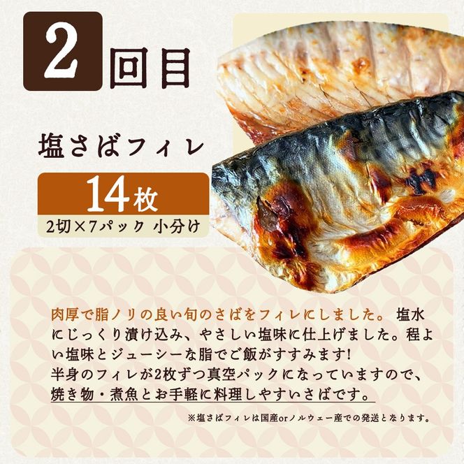 【定期便 全4回】魚鶴商店が選ぶ人気お魚J(銀鮭切身・サバフィレ・魚切身・海鮮漬)_G60-T41