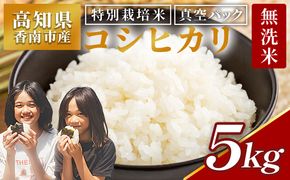 無洗米 コシヒカリ 5ｋｇ【令和8年産】高知県香南市産 特別栽培米 真空パック コシヒカリ 5kg 国産 米 お米 おこめ こしひかり 白米 ごはん おにぎり ご飯 防災 非常食 備蓄 農業公社 nu-0002