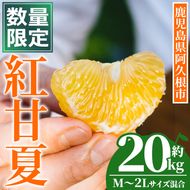 ＜先行予約受付中！2027年3月上旬以降順次発送予定＞ 数量限定！鹿児島県産 紅甘夏 (約20kg・M～2L) 柑橘 フルーツ 果物 国産 みかん 期間限定 数量限定 ベニアマナツ ミカン 旬 【株式会社土曜日】akn069-16