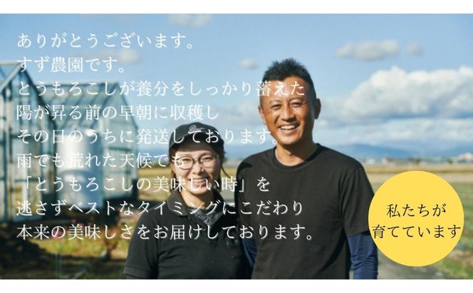 【先行予約】?極の?さと果汁 白いとうもろこし おすすめ コーン トウモロコシ 採れたて 新鮮 健康 ヘルシー 人気 厳選 袋井市