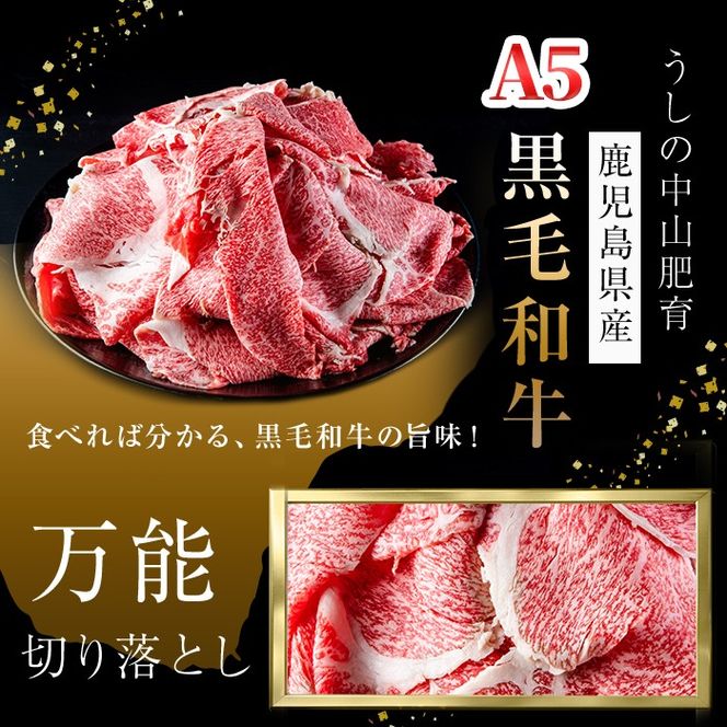 ＜A5等級＞鹿児島県産 黒毛和牛万能切り落とし(計800g /400g×2P) a3-210