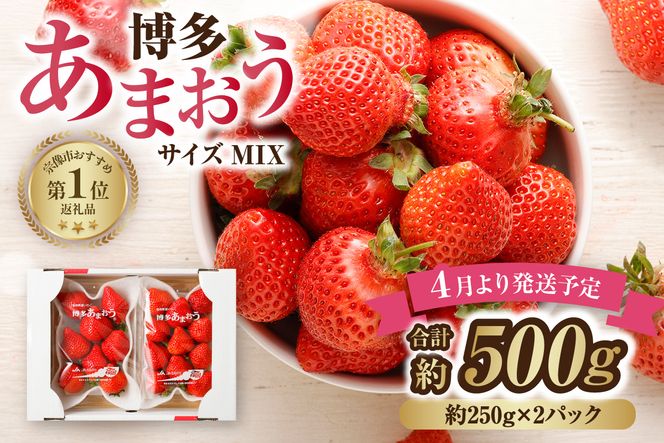 【先行予約】【アフター保証】4月発送！JAよりお届け！「博多あまおう」約250g×2パック【ほたるの里】_HA1938 ふるさと 納税 果物 フルーツ 甘い イチゴ 苺 あまおう デザート 旬 手土産 プレゼント いちご 博多あまおう 福岡
