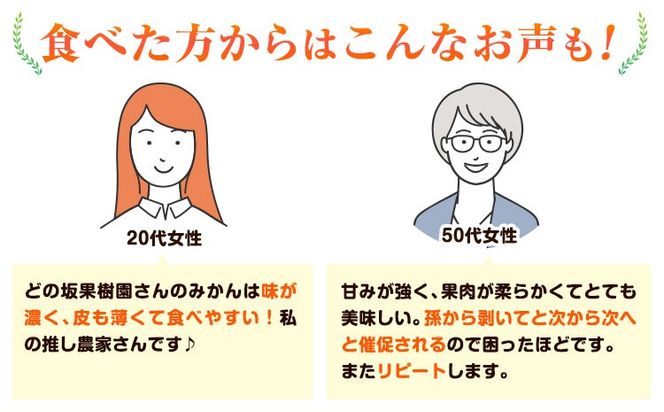 完熟みかん 約10kg サイズおまかせ どの坂果樹園《12月上旬-2027年2月上旬頃出荷予定》和歌山県 日高町 みかん 早生 旬 柑橘 フルーツ 果物 蜜柑 ミカン---wsh_dsk53_12j2j_25_18000_10kg---