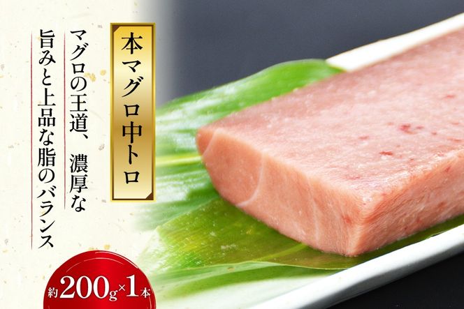 北かつのマグロ 中トロセット [北かつ商事 宮城県 気仙沼市 20563599] 魚 刺身 柵 鮪 まぐろ マグロ 本マグロ 南マグロ 中トロ メカジキ メバチ めばち ビンチョウ 冷凍 魚介類 魚介 新鮮 高級 